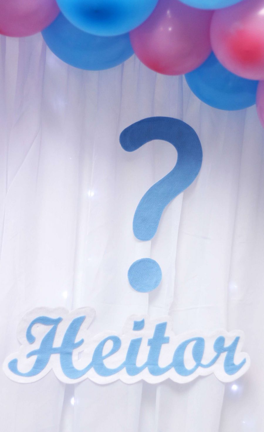 Chá Revelação Lucélia