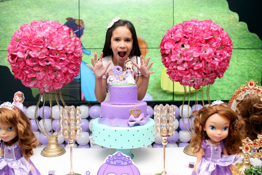 Aniversário 8 Anos Sophia