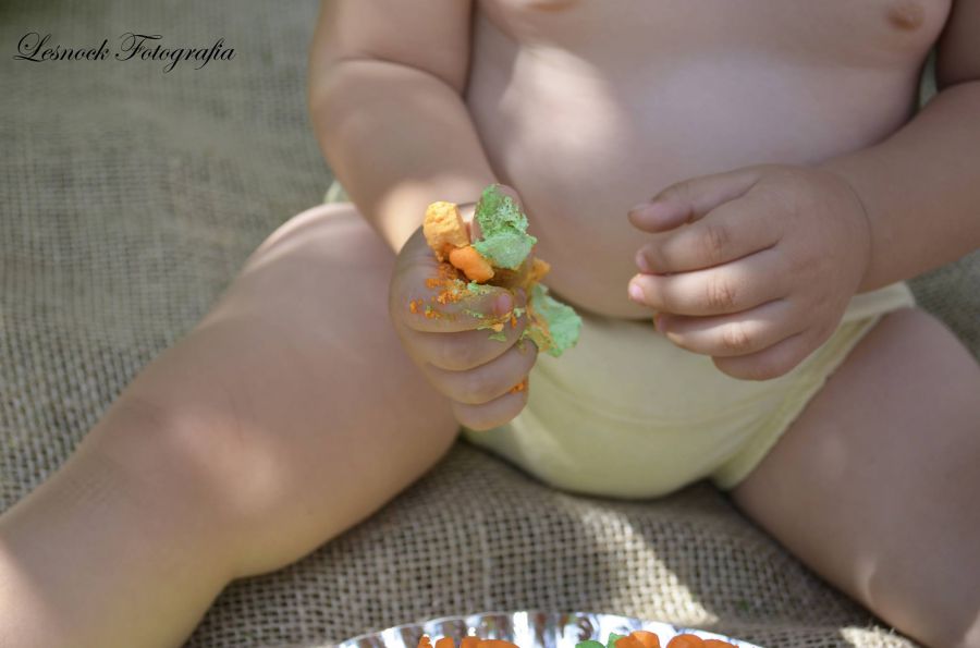 Ensaio Smash The Cake Isaque