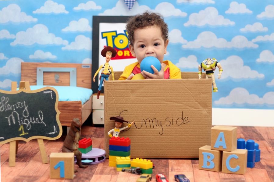 Ensaio Toy Story Henry Miguel