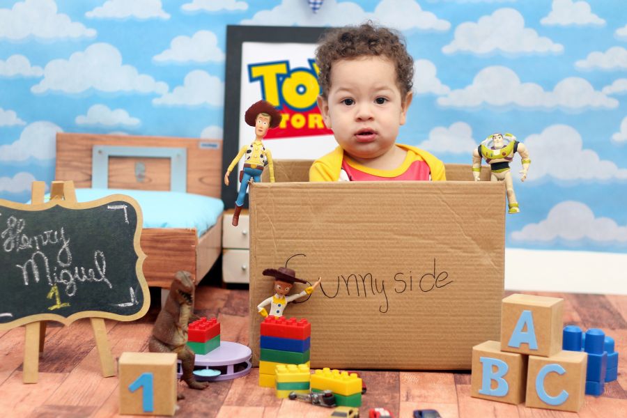 Ensaio Toy Story Henry Miguel