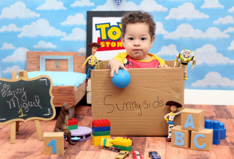 Ensaio Toy Story Henry Miguel