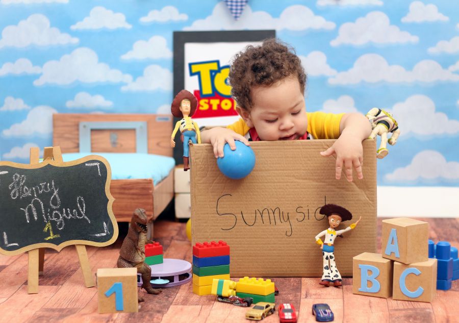 Ensaio Toy Story Henry Miguel