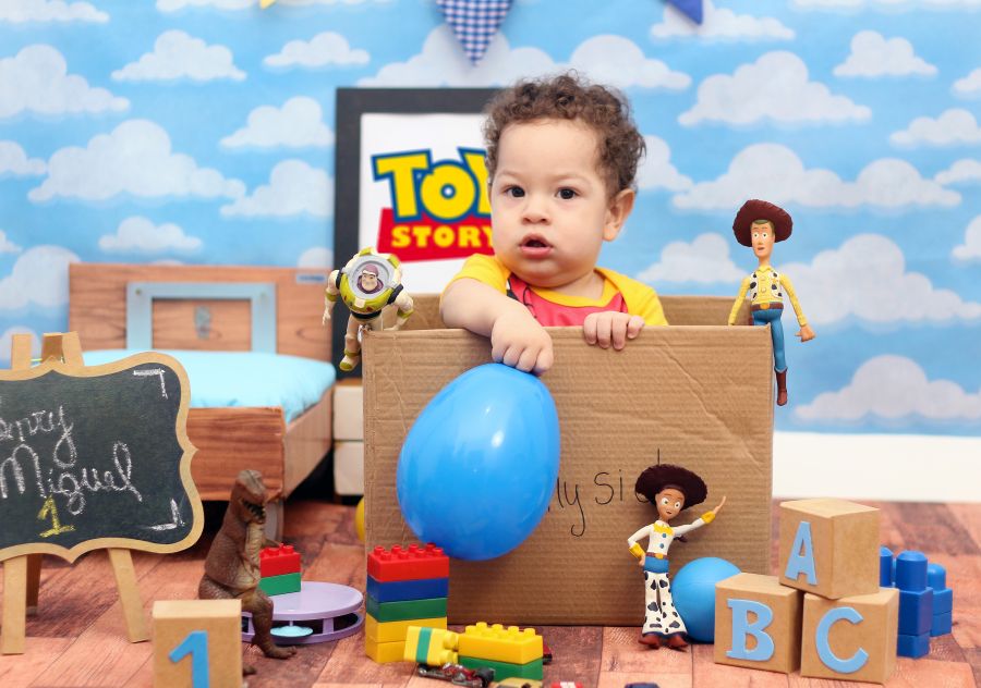 Ensaio Toy Story Henry Miguel