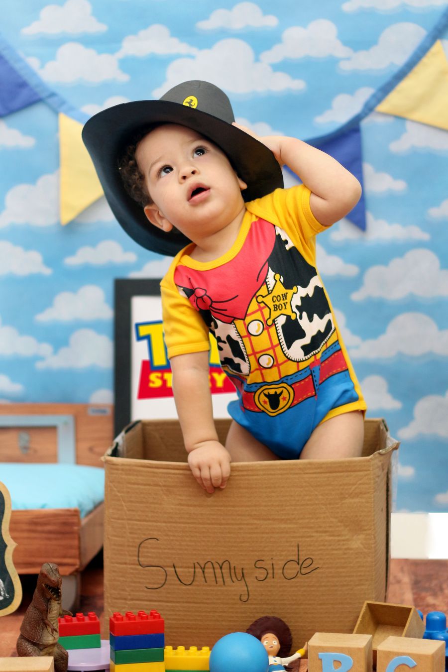 Ensaio Toy Story Henry Miguel