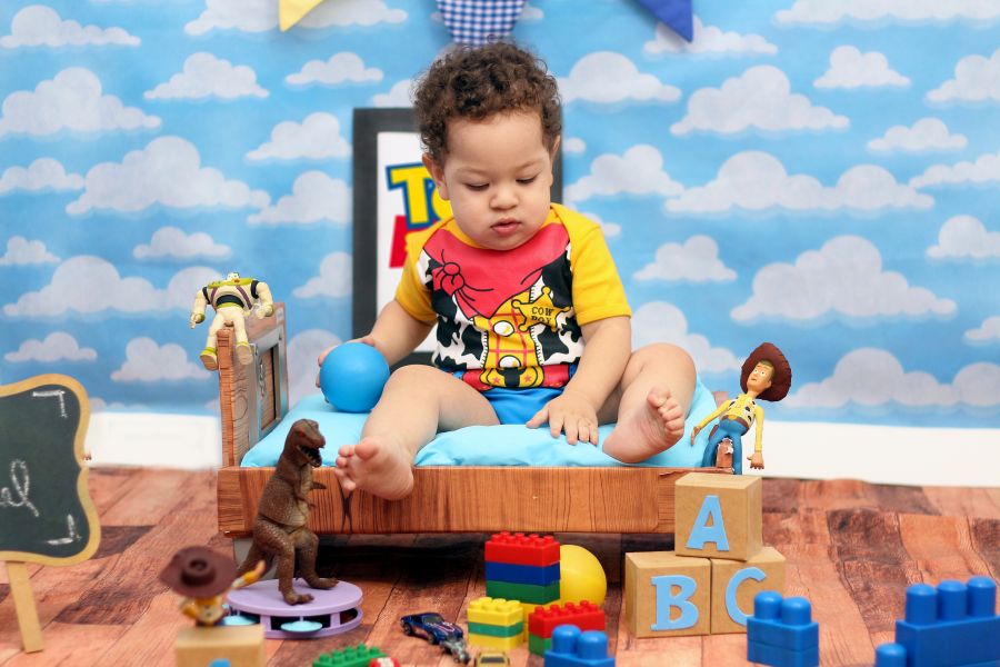 Ensaio Toy Story Henry Miguel