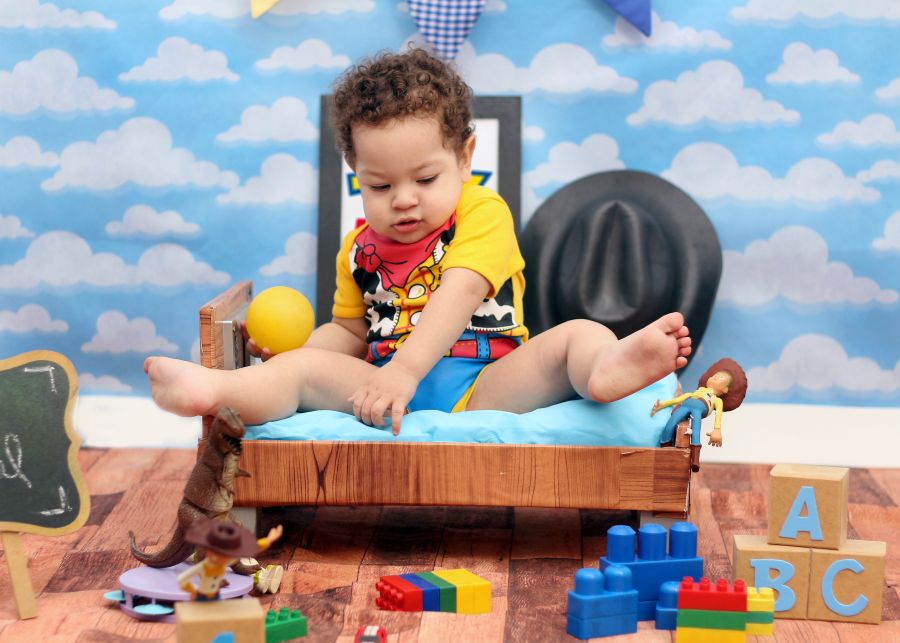 Ensaio Toy Story Henry Miguel