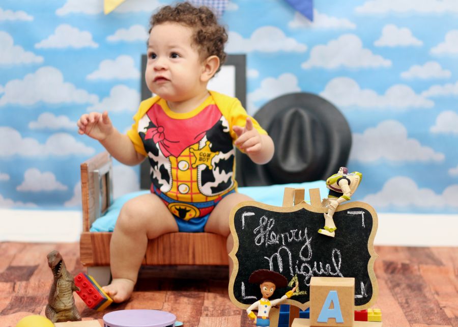 Ensaio Toy Story Henry Miguel