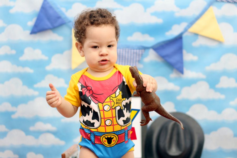 Ensaio Toy Story Henry Miguel