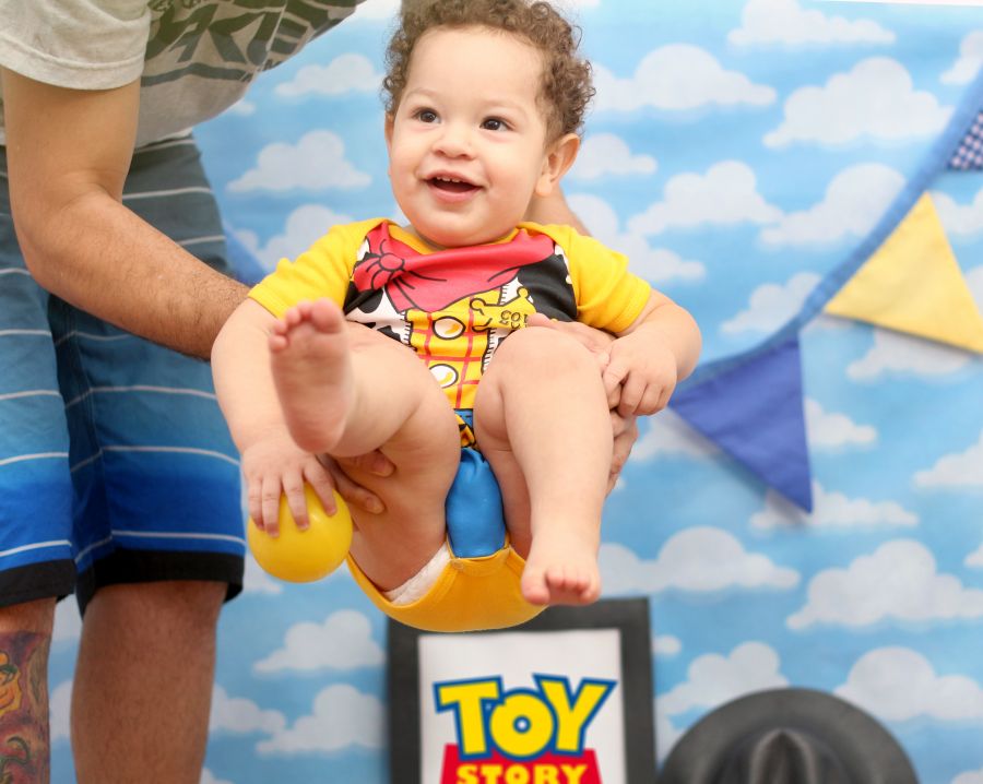 Ensaio Toy Story Henry Miguel