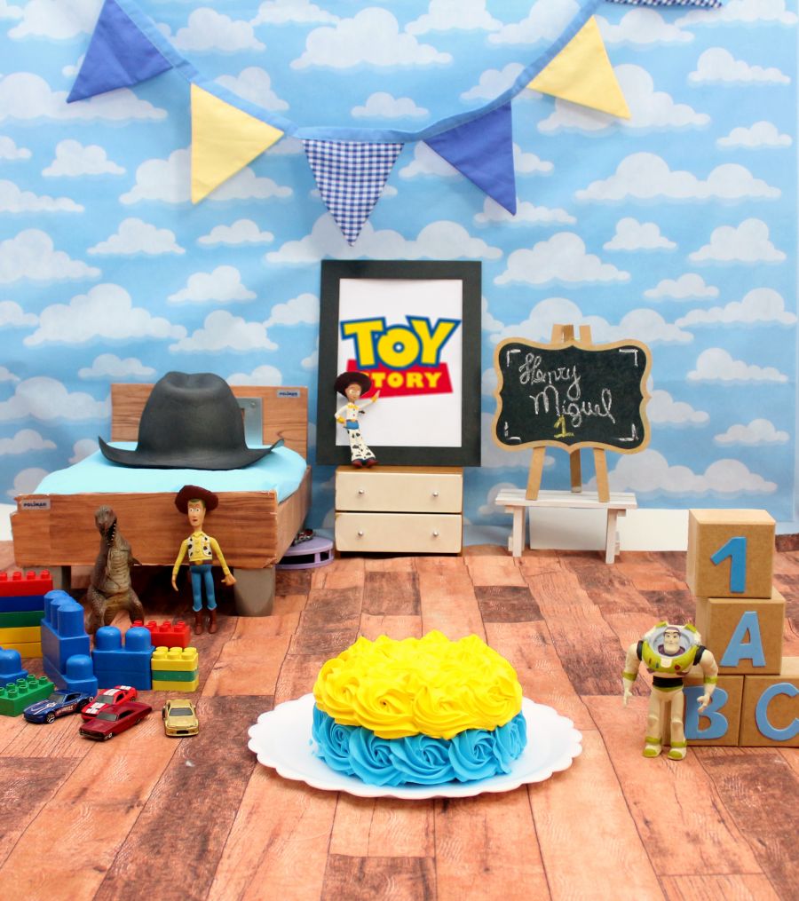 Ensaio Toy Story Henry Miguel