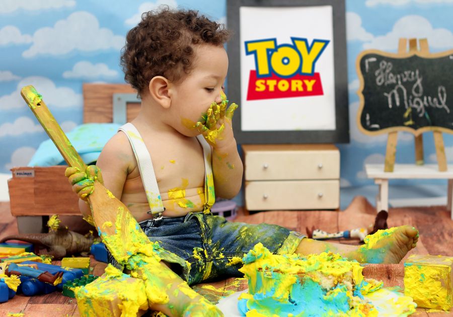 Ensaio Toy Story Henry Miguel