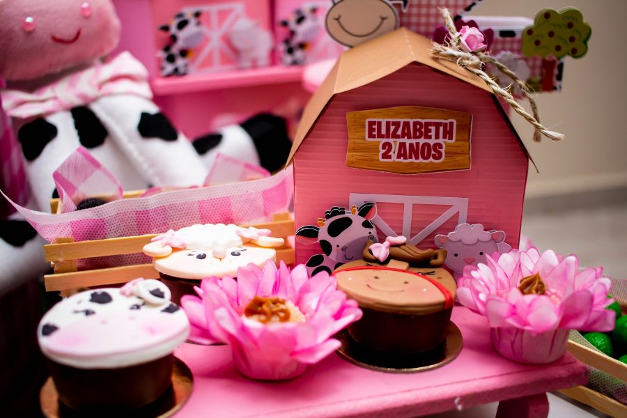 Aniversário Infantil em Guarulhos- Elizabeth 2 Anos