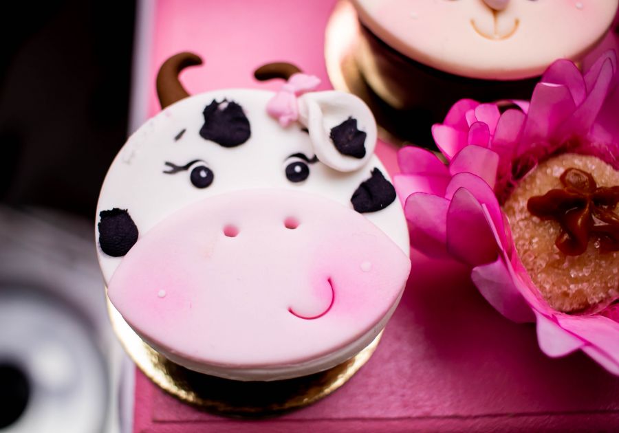 Aniversário Infantil em Guarulhos- Elizabeth 2 Anos