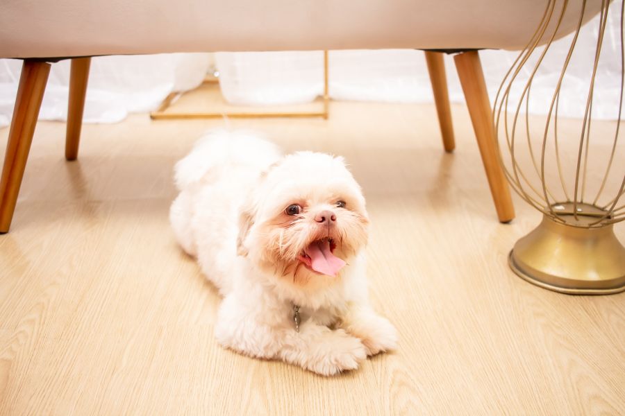 ENSAIO DIA DAS MÃES 2023- LETICIA